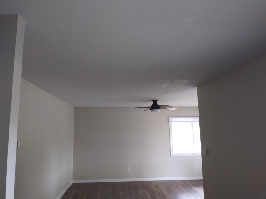 Freshly painted empty room
