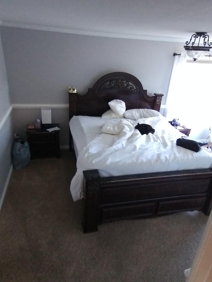 Painted master bedroom